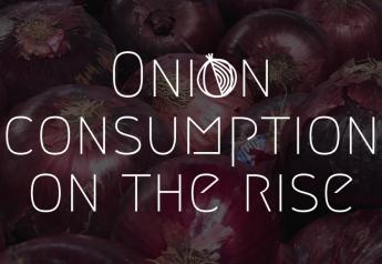 Onion consumption on the rise