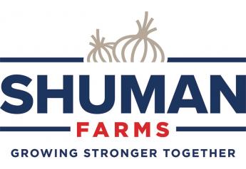 Shuman Farms sees strong Vidalia season