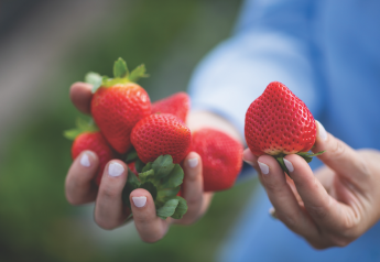 Southeast U.S., California berries delayed, demand high