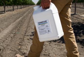 OMRI-listed Herbicide With Total Burndown in 72 Hours or Less