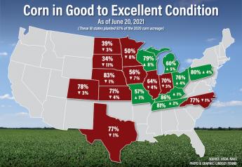 Crop Conditions Deteriorate, USDA Corn Ratings Drop Across 'I States'