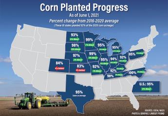 95% of Corn Is Planted and Crop Conditions Are Off to Better Start Than 2020