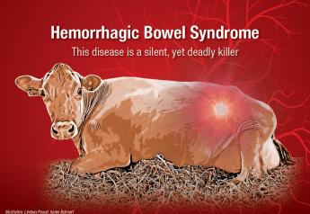 Don’t Lose Another Cow to Hemorrhagic Bowel Syndrome