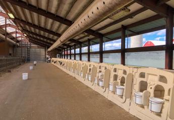 Facility Focus: The 5 Things to Look for in Calf Facilities