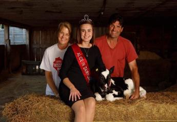 Julia Nunes: Sparkling Moments While Serving as Alice in Dairyland 
