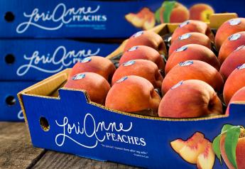 Lori Anne peaches are back in stores for the summer