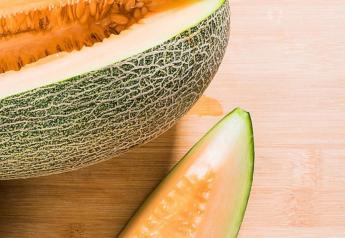 Pacific Trellis/Dulcinea Farms expands melon output