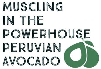 Muscling in the powerhouse Peruvian avocado