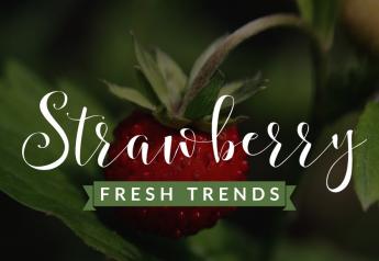 Organic strawberries take big chunk of total organic produce sales