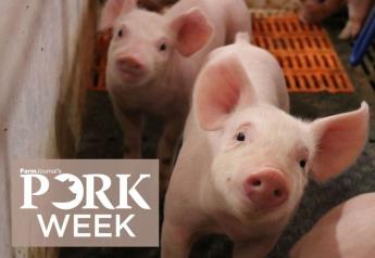 Genetics Can Boost Swine Herd Health