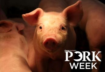 Swine Veterinarian Weighs-In On PRRS, Biosecurity Efforts by Pork Industry
