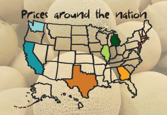 Prices around the nation: Cantaloupe