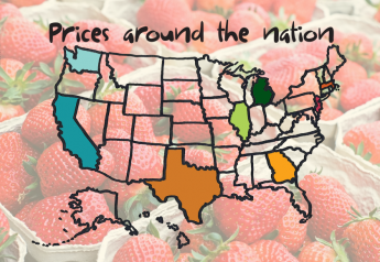 Prices around the nation: Strawberries
