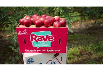 Stemilt’s Fast Facts The Cast talks about Rave® apple’s impact 