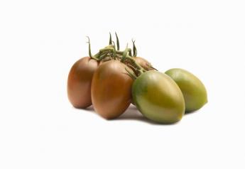 Top Seeds International offers chocolate-colored tomato range 