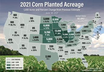 Market Surprise: Lower-Than-Expected Planted Acres Send Prices Higher