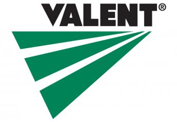 Valent Expands Availability of Maverick Corn Herbicide