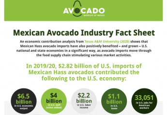 Mexican Avocado Imports on Track for Record-Setting Season
