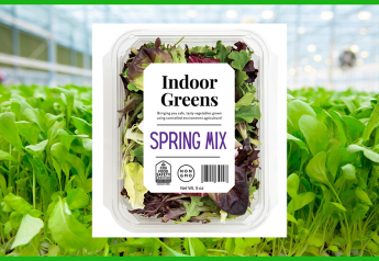 CEA Food Safety Coalition details first indoor-farming standards