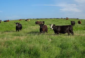 Kansas Rancher Testifies Before Senate Ag Committee on Cattle Markets