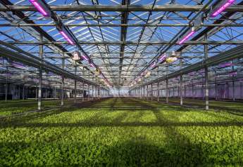 Element Farms in NJ to expand with baby spinach facility