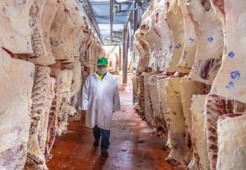 Peel: Record Beef Exports In 2021