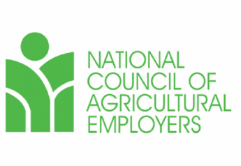 NCAE expresses 'frustration and dismay' over allegations about UFW use of farmworker funds