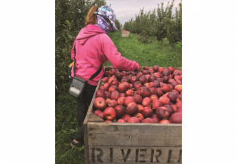 Riveridge Produce boosts new varieties