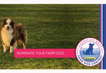 Is Your Dog America’s Best Farm Dog? 