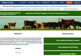 New USDA Grading Dashboard Expands Access to Data