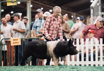 Grandma’s Still Got It: 92-Year-Old Pig Showman Gets Back in the Ring