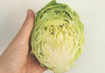 NY research trials create mini broccoli, mini cabbage