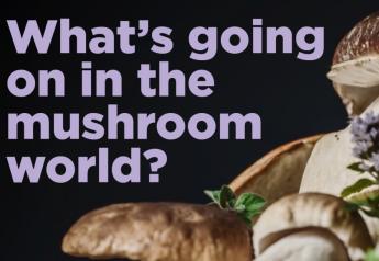 What’s going on in the mushroom world?