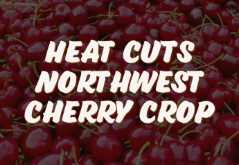 Northwest Cherry Growers: 20% reduction because of heat