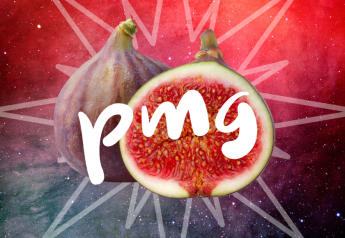 Figs at the fore (and more) on PMG