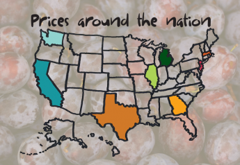 Prices around the nation: Red or black plums