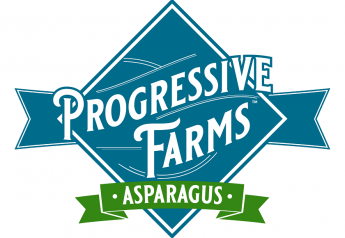 Progressive Produce begins northern Baja asparagus season