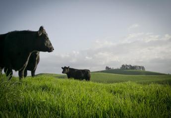 New Zealand Importer Will Launch Zero Carbon Beef