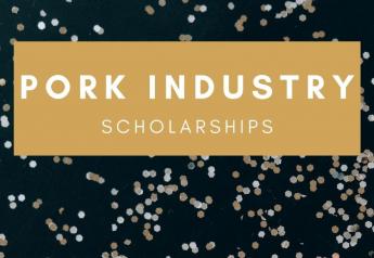 Pork Industry Scholarships: Announcements and Opportunities