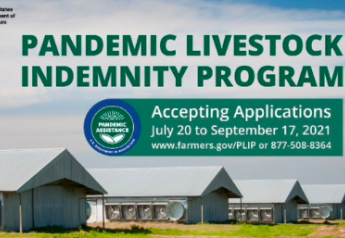 USDA Announces New Financial Assistance for Livestock Producers Forced to Cull Animals During Pandemic
