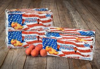 Titan Farms brings back its America’s Peach Box Summer Retail Program