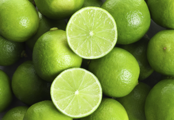 Fresh Trends 2023: Lime purchases on an upswing