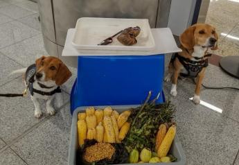 Federal Agents Prevent Smuggled Animal Products from Entering the U.S.