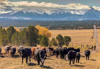 Cattlemen’s Beef Board to Mark Beef Checkoff’s 35th Anniversary, Launch New Visionary Award at Cattle Industry Convention