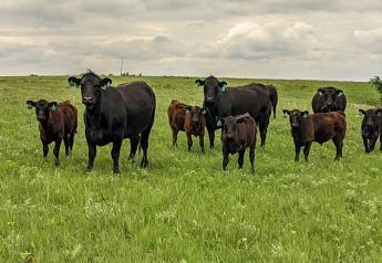 Managing Pastures with High Fertilizer Prices and Drought