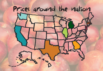 Prices around the nation: Yellow-flesh nectarines