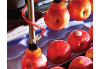 Research report looks at the growth of food robotics