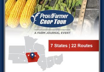 Were USDA's Cuts to Corn Too Deep? Get Insights from Pro Farmer Crop Tour