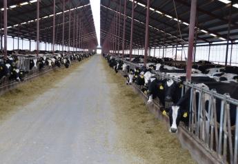 DMC Payment Issued Yet Again to Help Offset Low Milk Prices