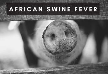 Hong Kong Reports Outbreak of African Swine Fever